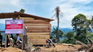 4.000 Hektare Kawasan Hutan di Bengkulu Diamankan Usai Dirambah